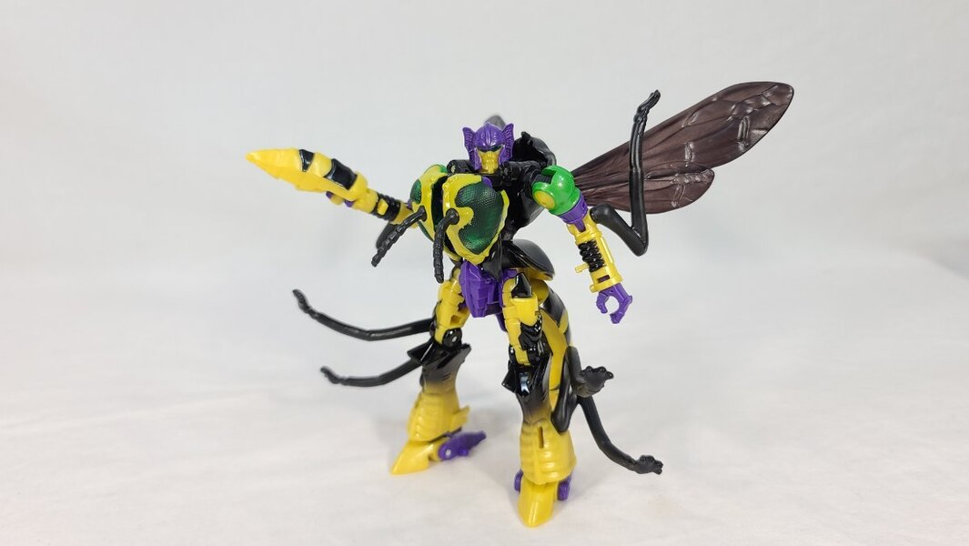 TF Colector Legacy Buzzsaw Review  (5 of 8)